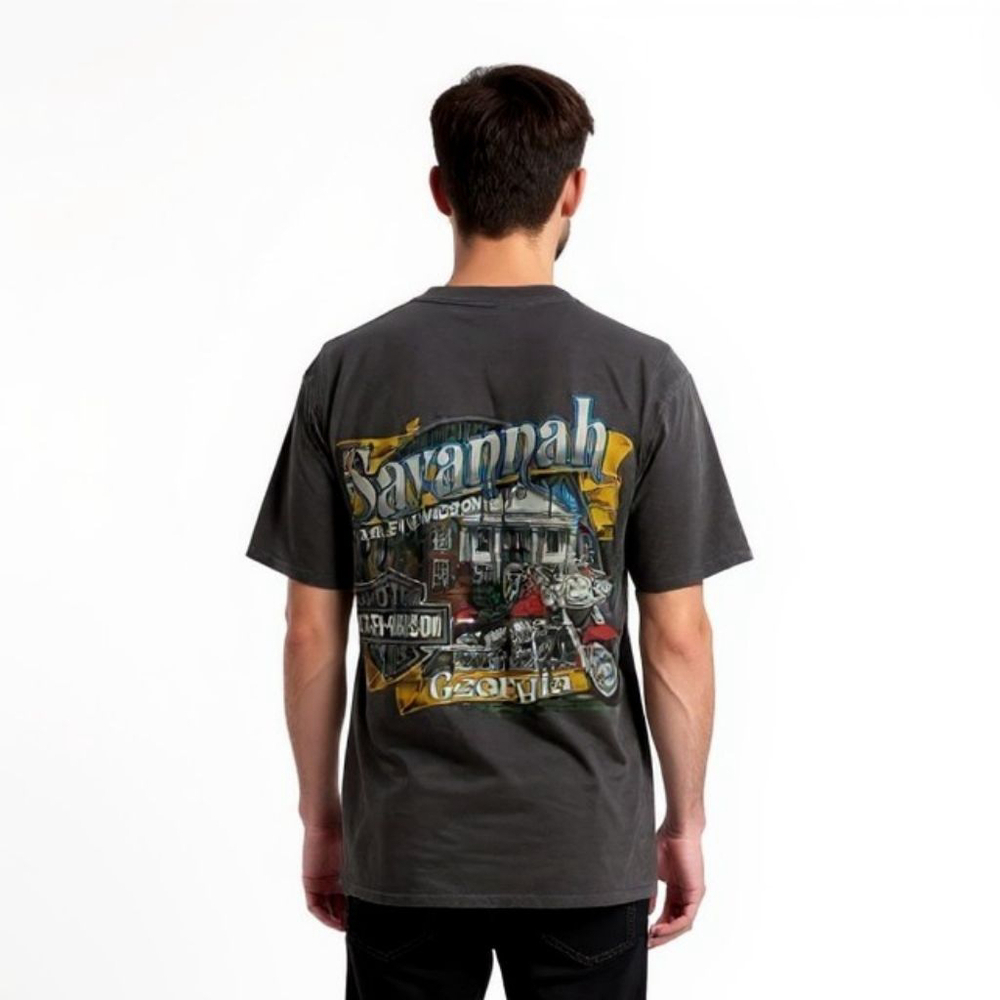 Harley-Davidson Savannah Y2K 2002 Gray T-Shirt - Small